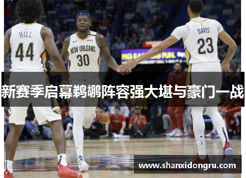 新赛季启幕鹈鹕阵容强大堪与豪门一战