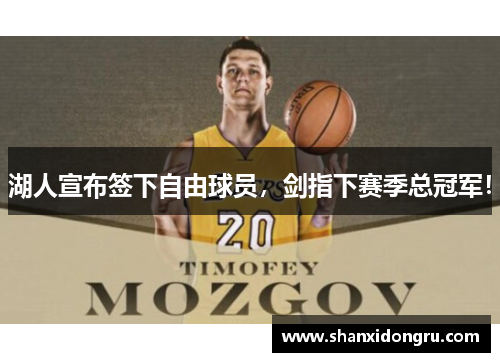 湖人宣布签下自由球员，剑指下赛季总冠军！