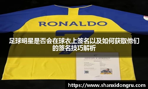 星空·综合体育官网