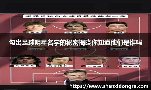 星空·综合体育官网