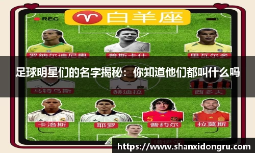 星空·综合体育中国官网