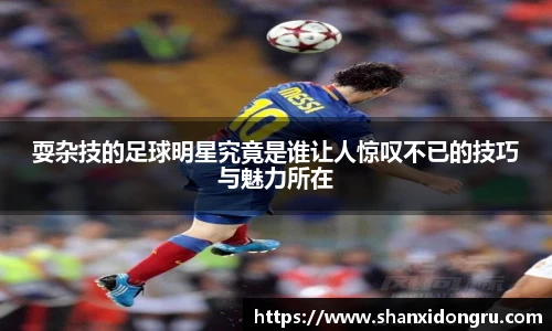 星空·综合体育官方网站